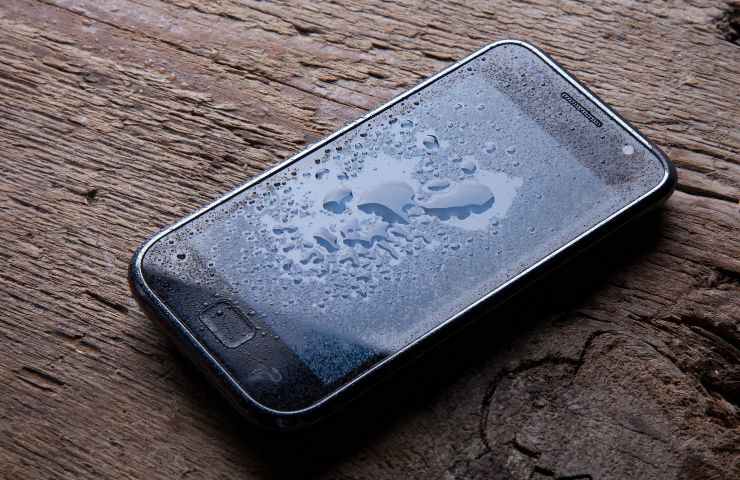 Cellulare cade acqua cosa fare 