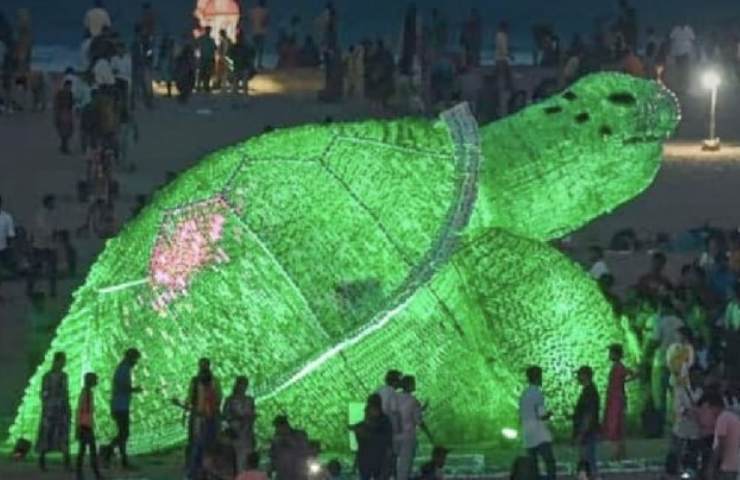 India tartaruga gigante 