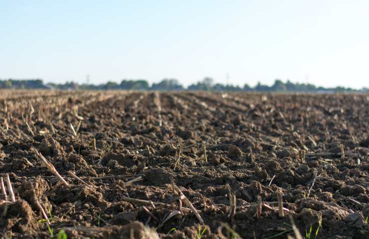 Salvare l'agricoltura dalla siccità 