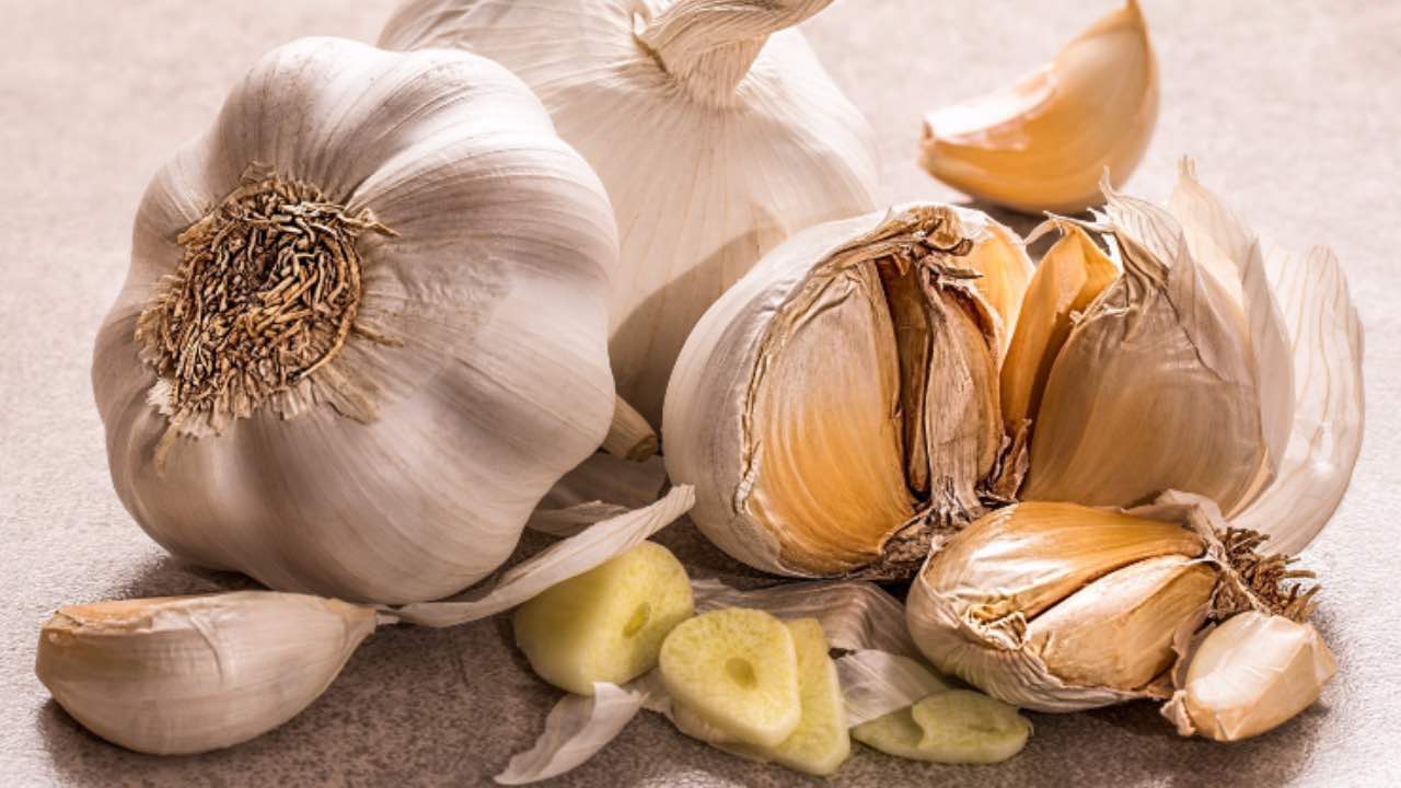 bollire aglio benefici