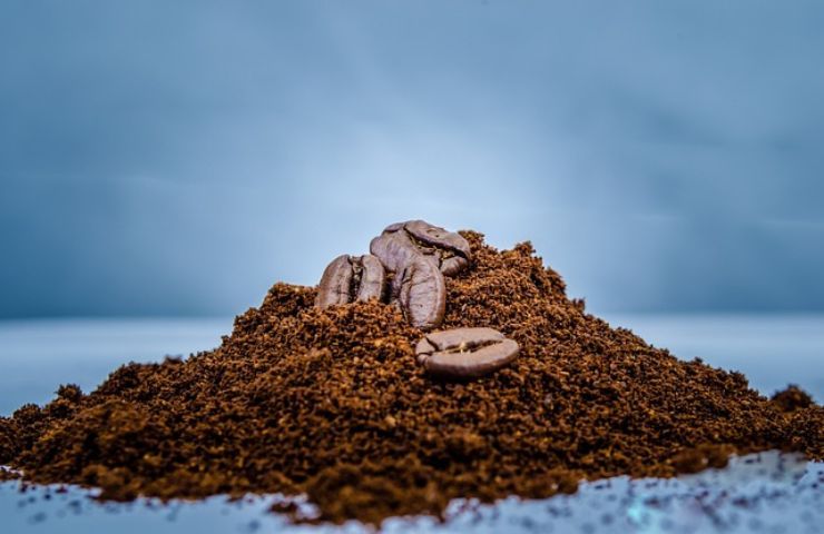 Fondi di caffè, mai stati così preziosi