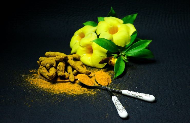 curcuma come coltivarla