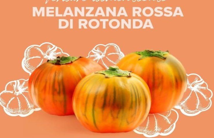 Melanzane rosse, non tutti sanno della loro esistenza