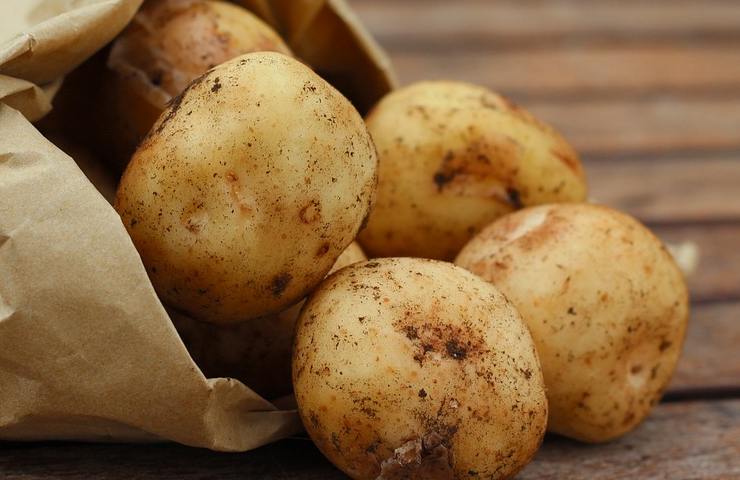 patate, acqua, preparare, rigoglioso, naturale