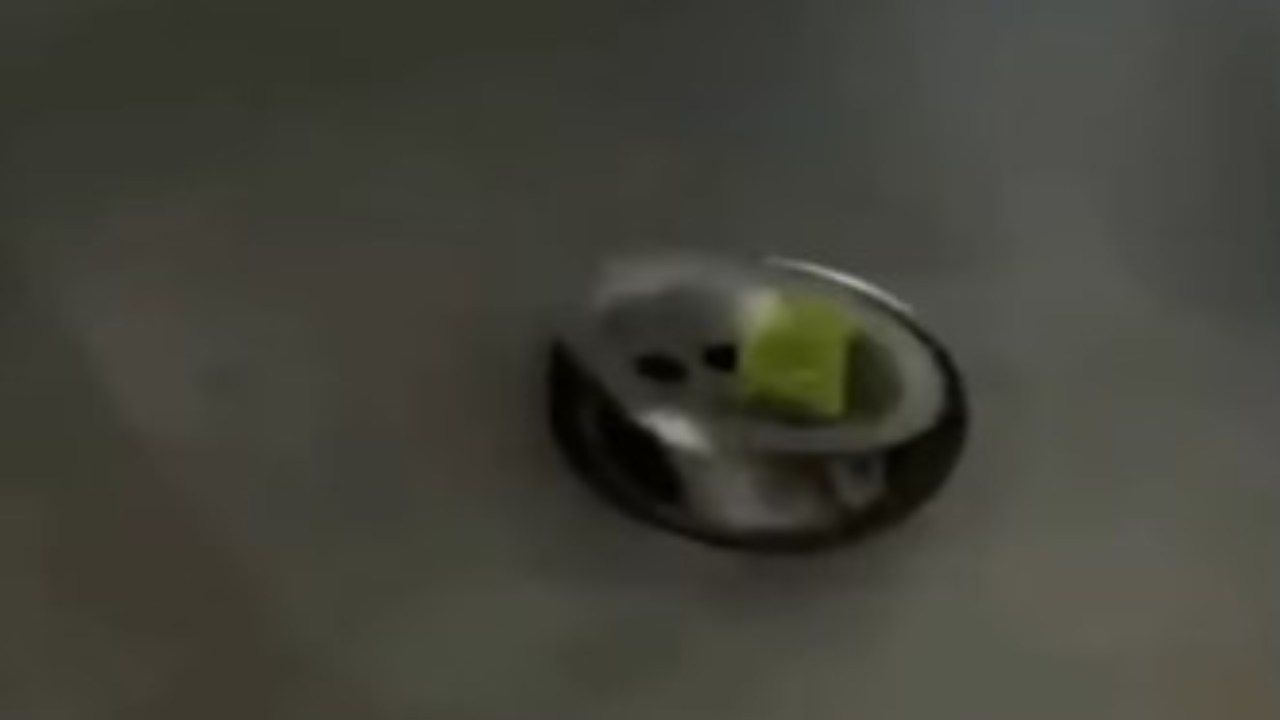 In pochi secondi sbuca dal lavandino