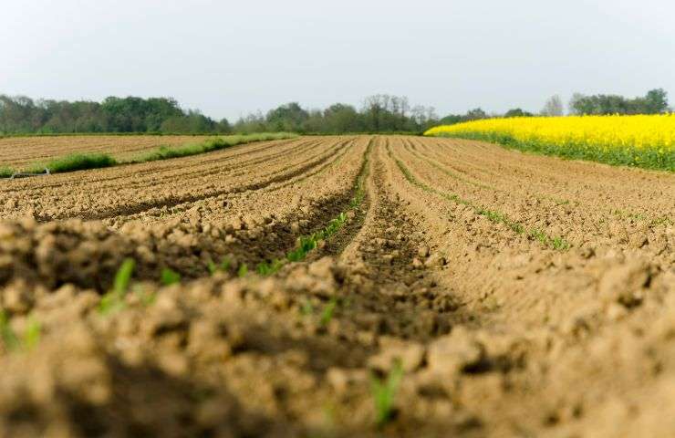 aratura terreno cosa succede 