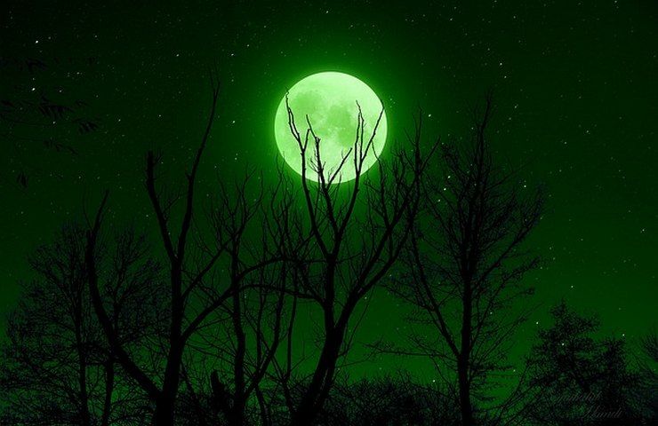 motivo cielo verde