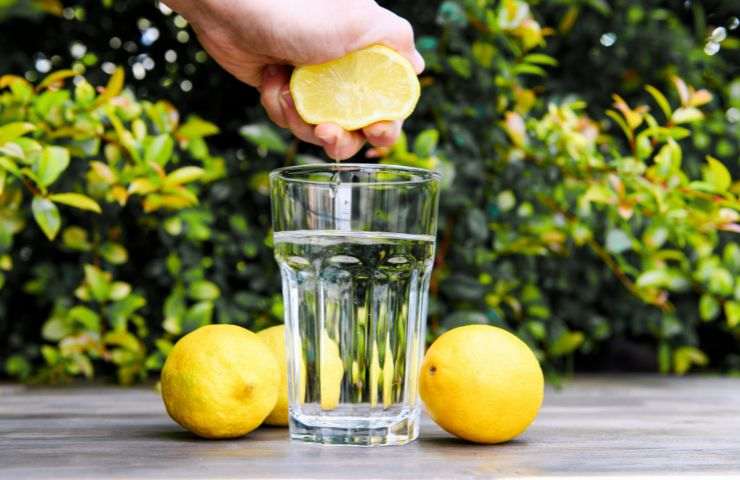 acqua limone mattino verità esperti 