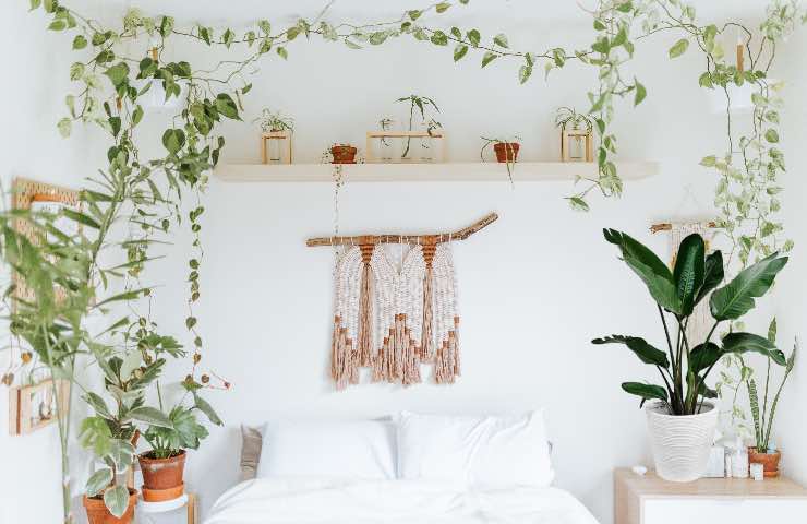 camera letto piante