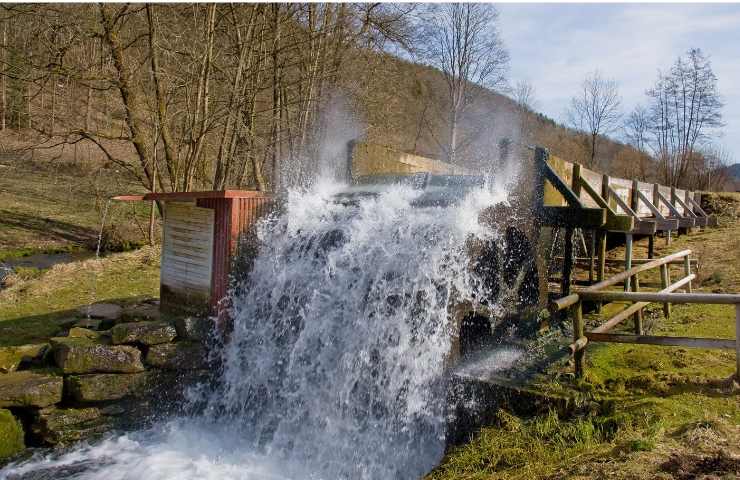 acqua importanza benefici