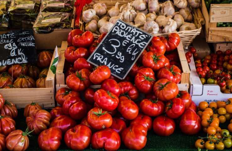 pianta pomodoro fai da te