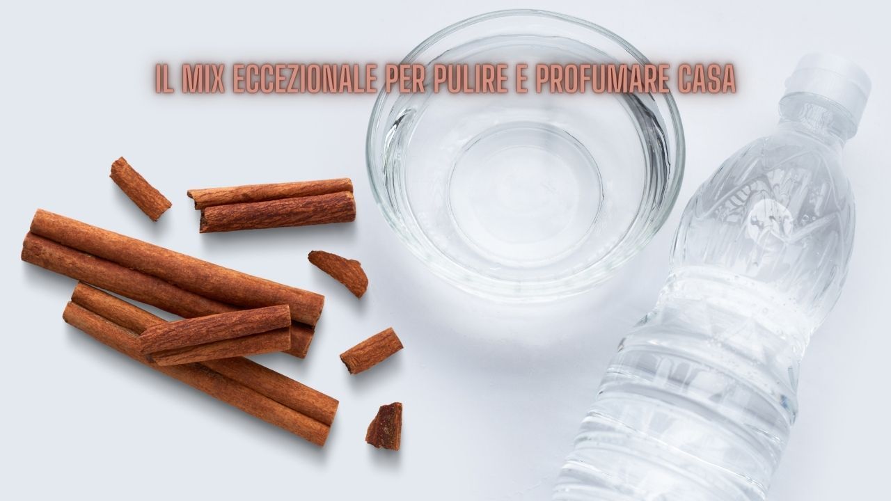 aceto cannella pulire casa