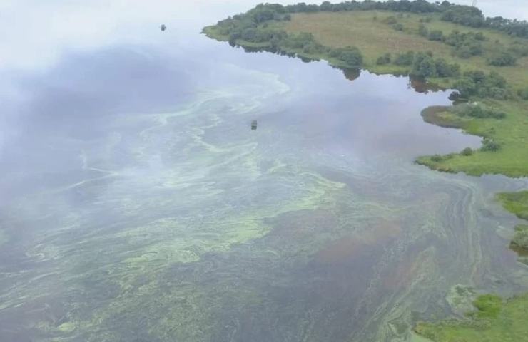 Lago Neagh, l'inquinamento è alle stelle 
