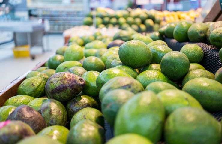 Avocado prezzi situazione italia 