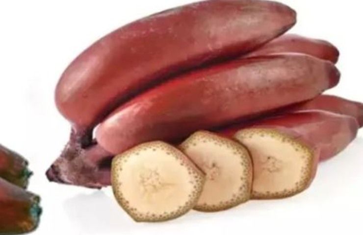 Banana rossa, dalle proprietà al sapore: tutto quello da sapere