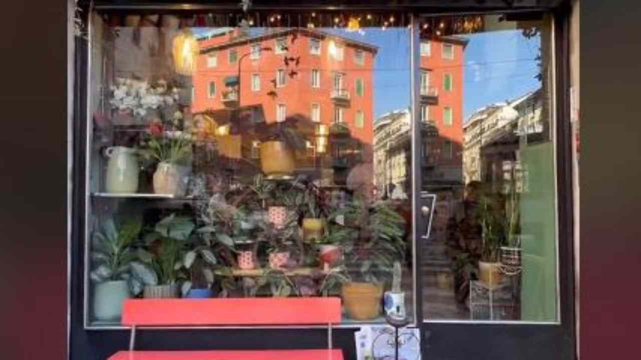 Chi ama i fiori deve conoscere questo posto dove si prende il caffè in mezzo a meraviglie naturali
