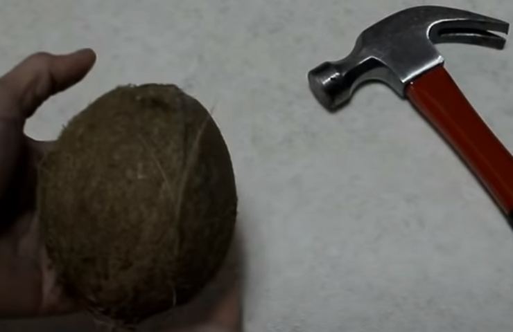 Bucare il cocco e svuotarlo dal liquido 