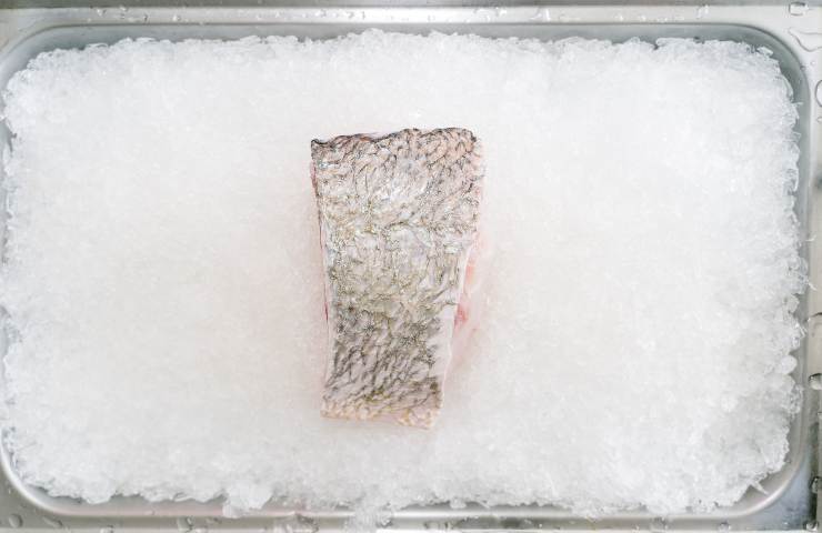 Freezer, mai scongelare questi alimenti: quali sono e i pericoli che si corrono 