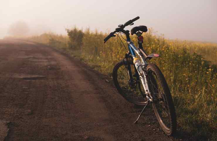 E-bike francese, cosa sapere