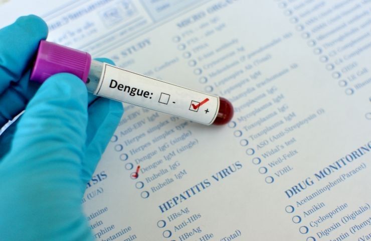 malattia dengue sintomi
