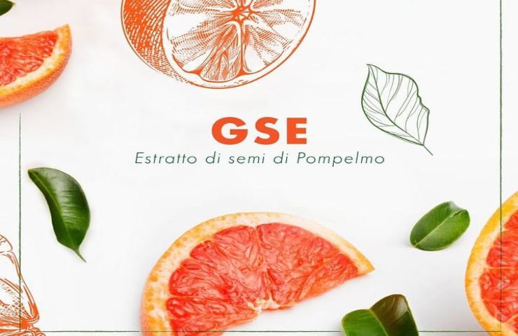 GSE, il rimedio naturale che risolve ogni tipo di fastidio