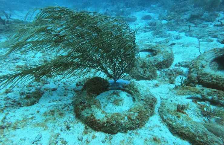 cimitero gomme Oceano oggi 