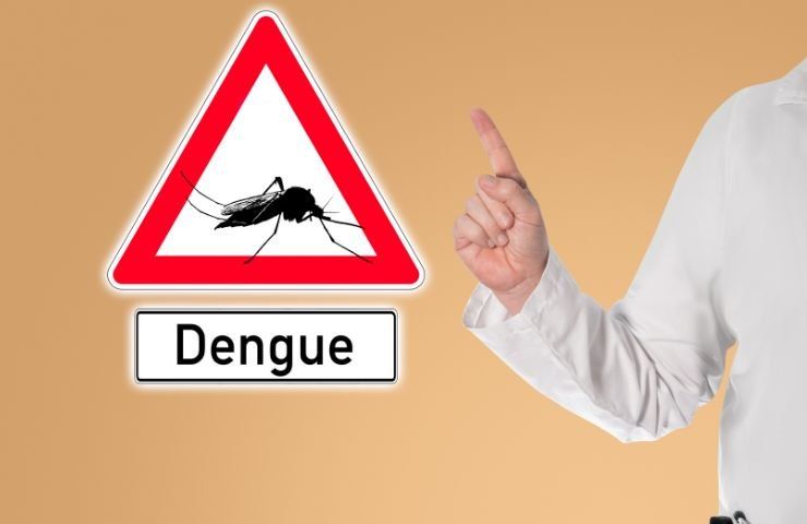 pericolo puntura zanzara Aedes