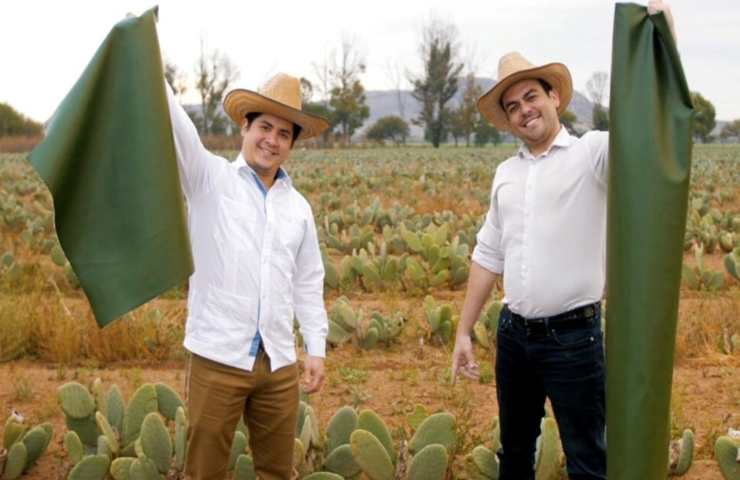 Pelle foglie cactus ideatori