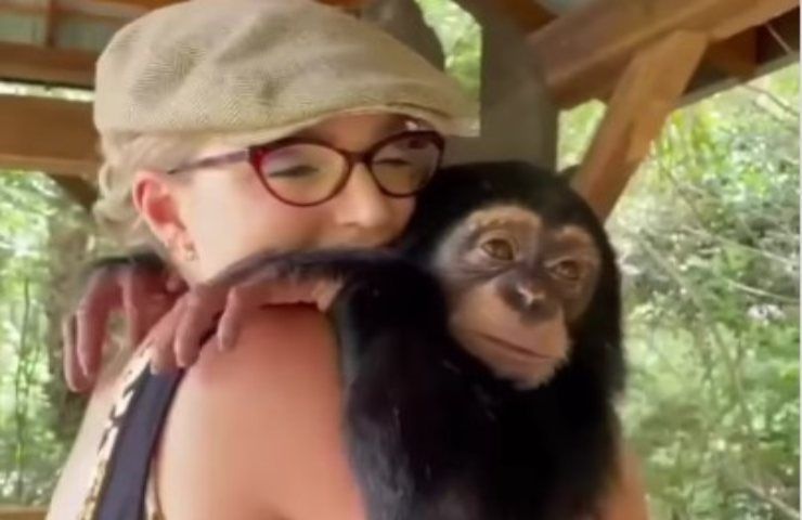 Cucciolo di scimmia reagisce così davanti alla mamma umana