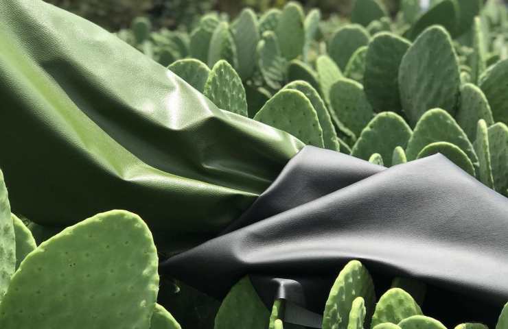 Pelle foglie cactus novità green 