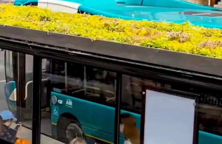 Tetti viventi benefici città