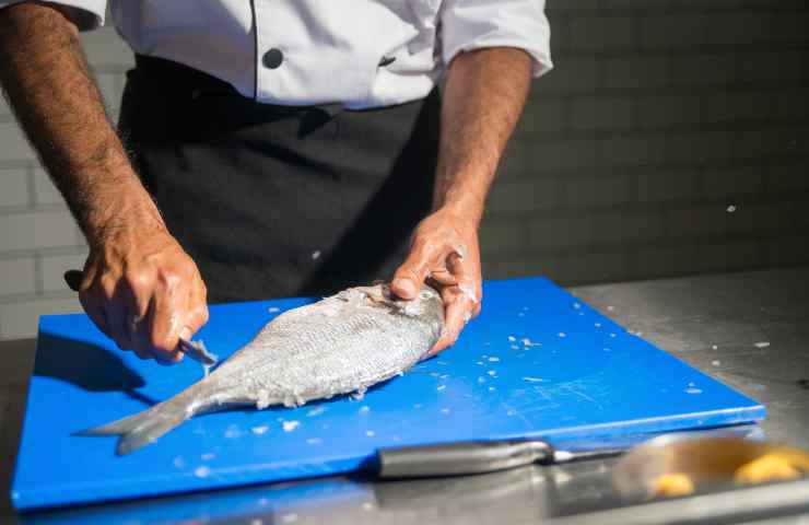 Cosa succede se mangi del pesce crudo contaminato