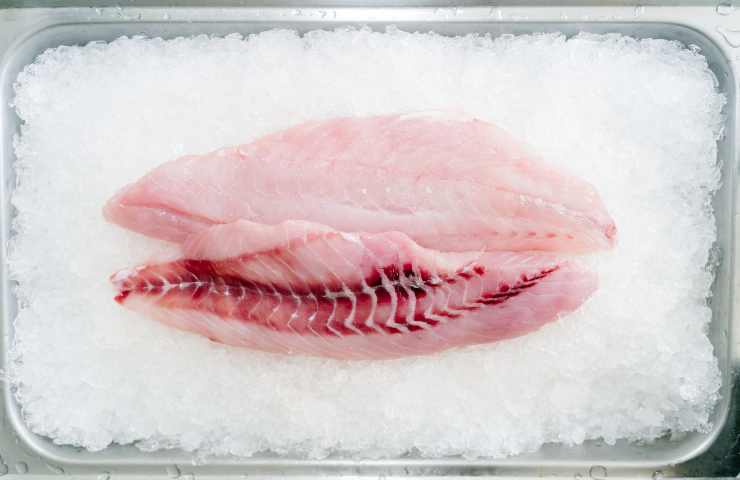 Pesce crudo contaminato, cosa fare se lo si mangia