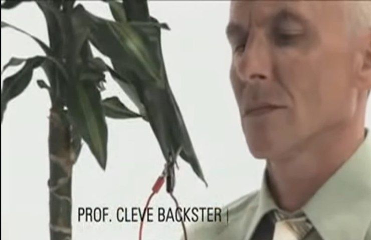 piante provano emozioni studi Cleve Backster