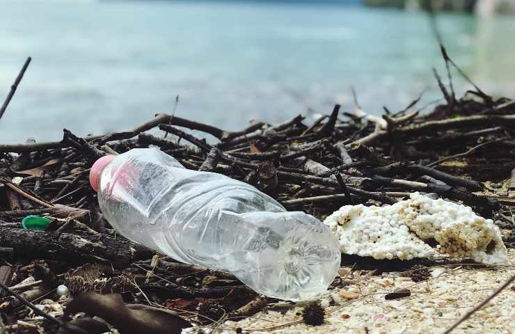 Mangiamo i nostri rifiuti, specie se li gettiamo in mare