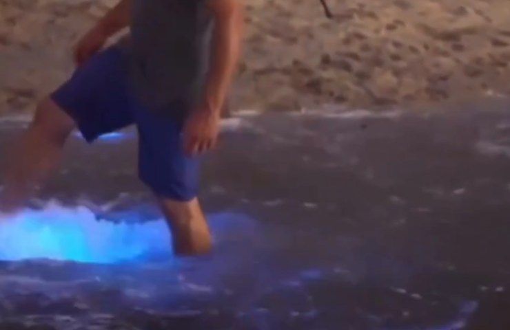 acqua bioluminescente