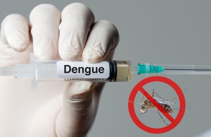 virus dengue paesi tropicali