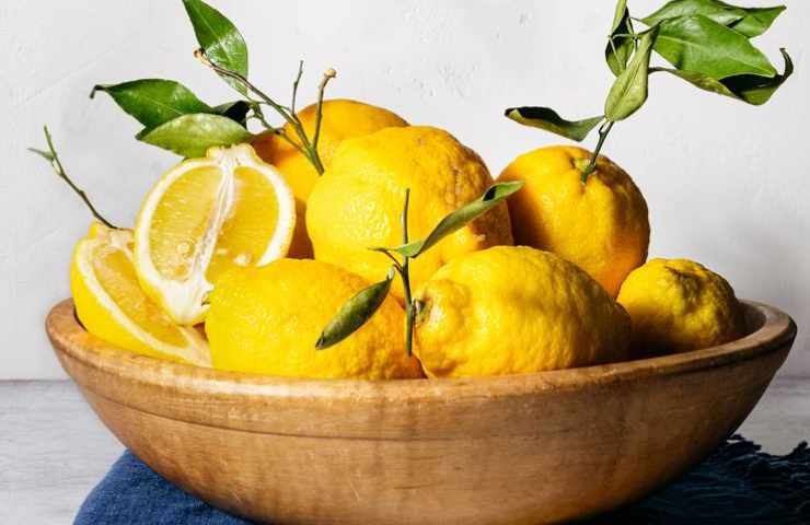 Il limone: l'agrume più amato