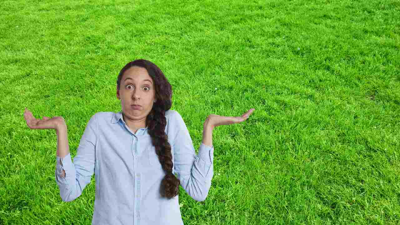 come scegliere sementi subbi