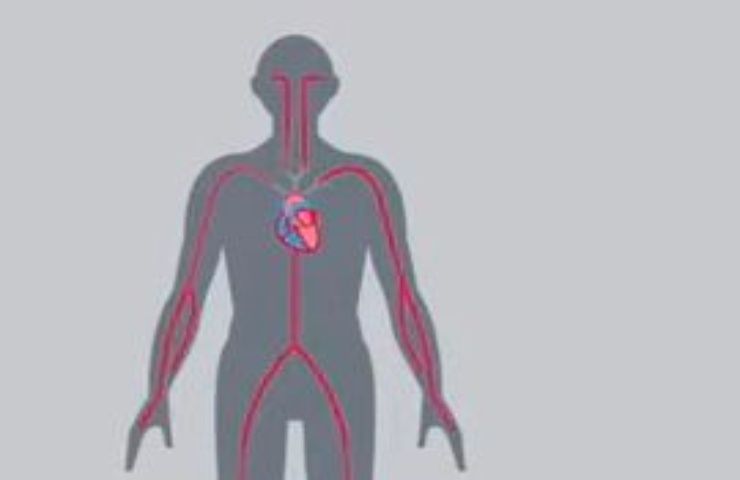 Cosa accade se si toccano 30.000 Volt