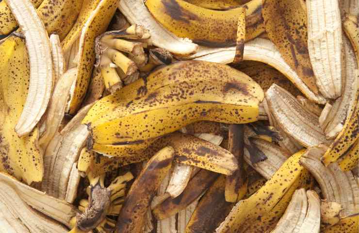 Scarti di banane per creare tappeti e vestiti, ora si può