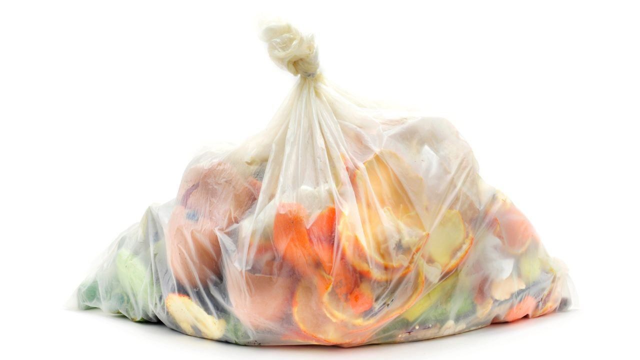 sacchetti umido non biodegradabili