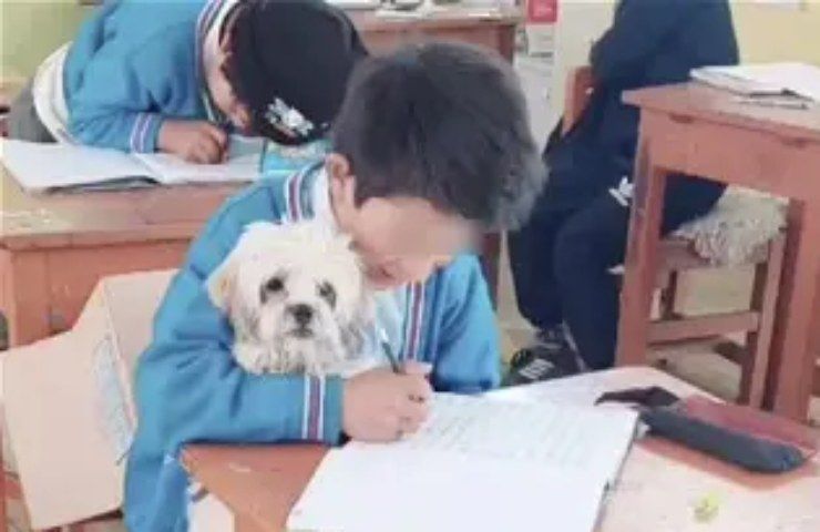 Legame tra persone ed animali e storie speciali, bambino porta cane a scuola