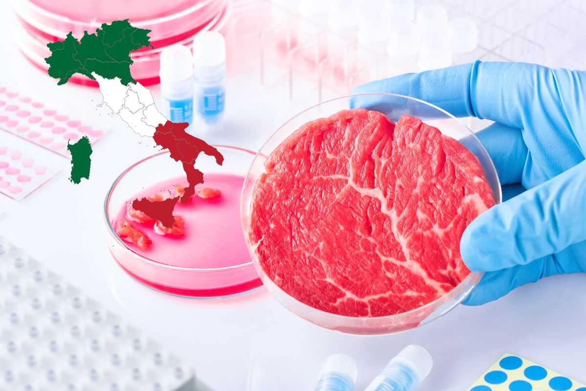 Carne coltivata Italia dietrofront motivo