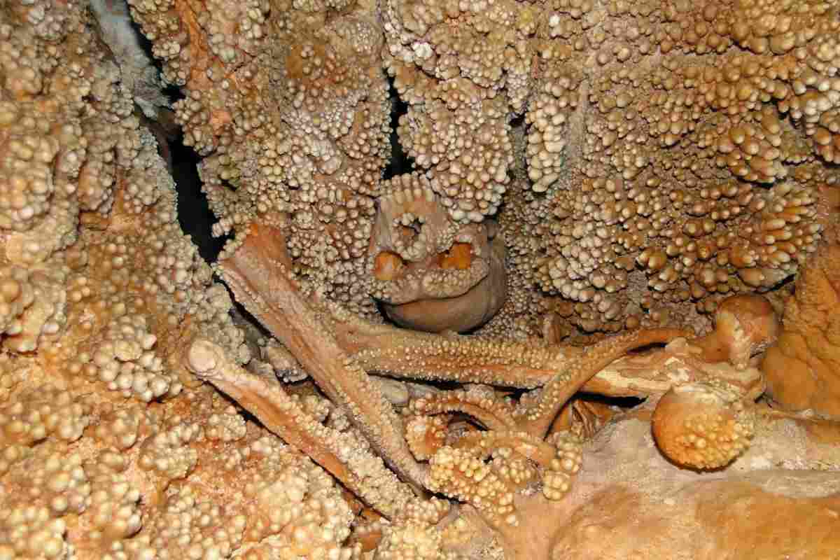 La grotta di Lamalunga, la scoperta