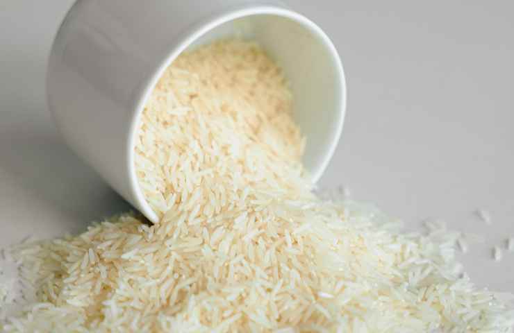 Tazza di riso, come cura per le piante: i benefici 