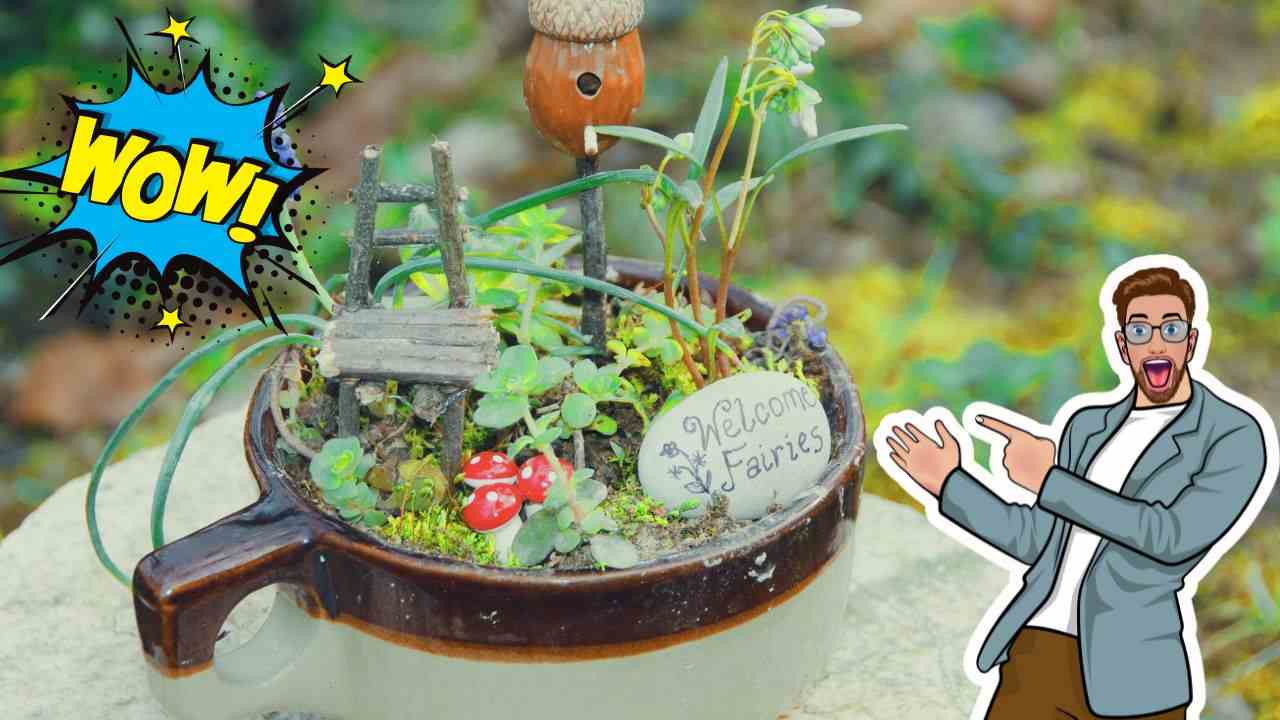 creare mini giardino tazza