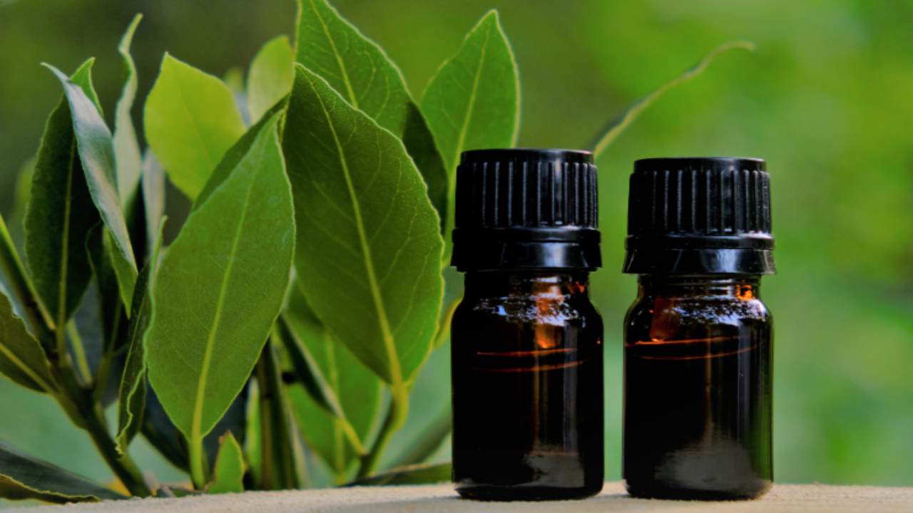 oleolito all'alloro a cosa serve