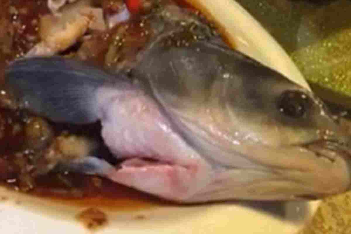 Il pesce si muove nel piatto