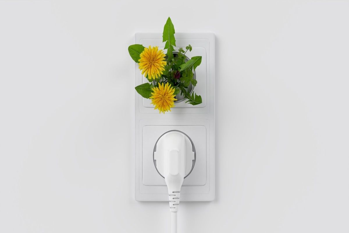 presa elettrica con fiori 